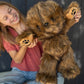 Beverly Hills Teddy Bear Company Biggy Bigfoot Plushee