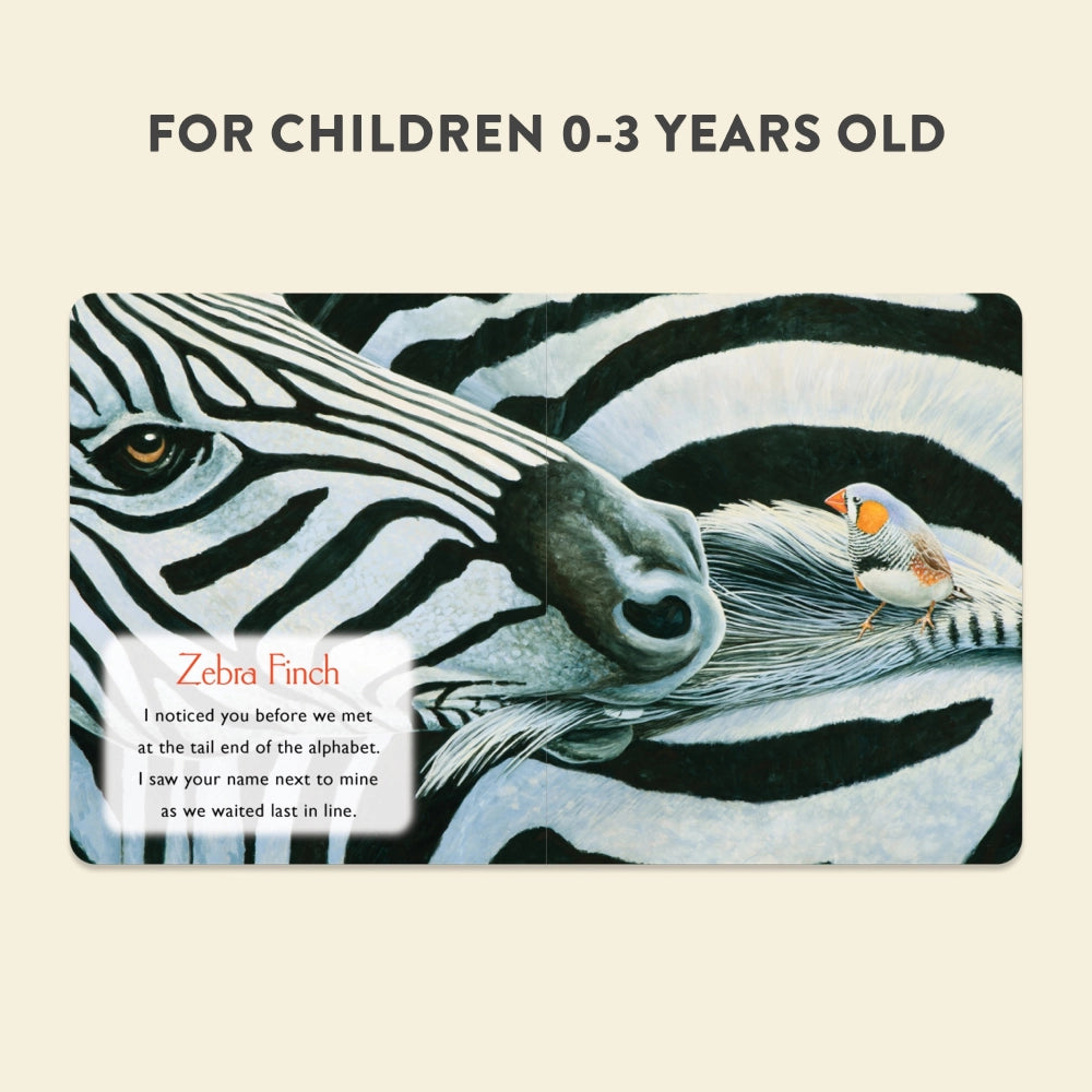 Penguin Random House LLC You Stole My Name Book