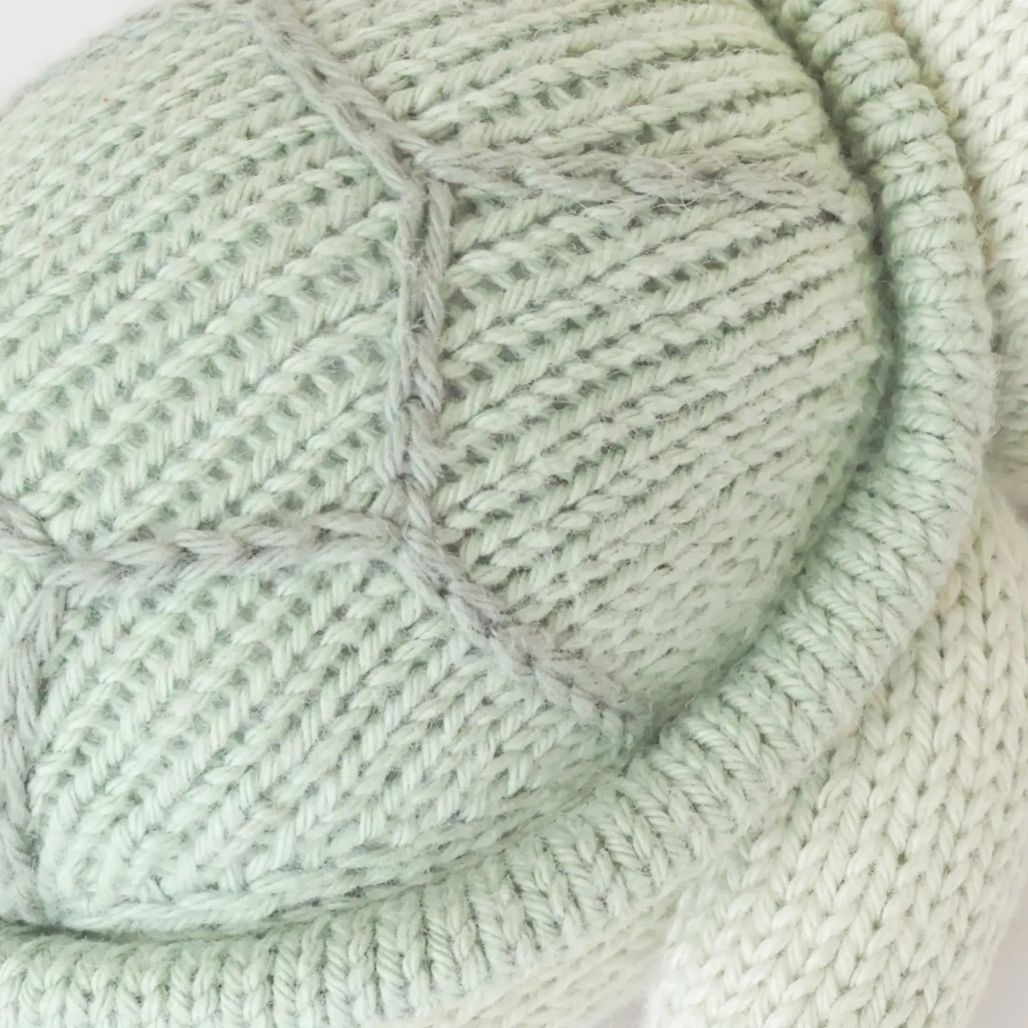 Cuddle and Kind Baby Sea Turtle