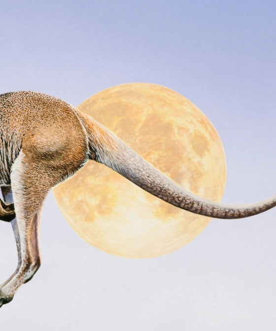 Penguin Random House LLC You Stole My Name Book