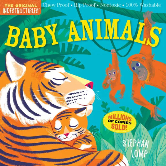 Hachette Book Group Indestructibles: Baby Animals
