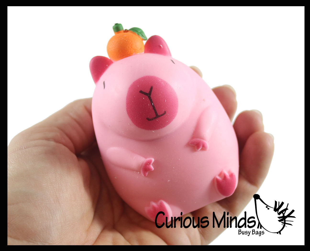 Curious Minds Toys Capybara Sensory Fidget Toy Assortment
