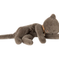 Maileg Sleeping Kitten Plush - Medium