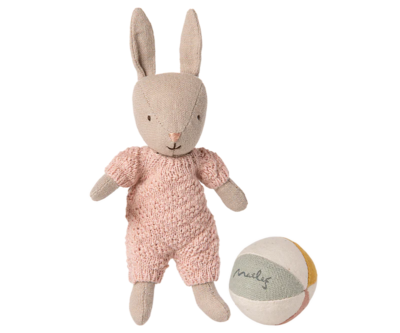 Maileg Micro Rabbit Set