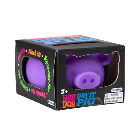 Schylling Dig It Pig NeeDoh Assortment