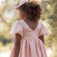 Noralee Sofia Dress - Rose Shimmer
