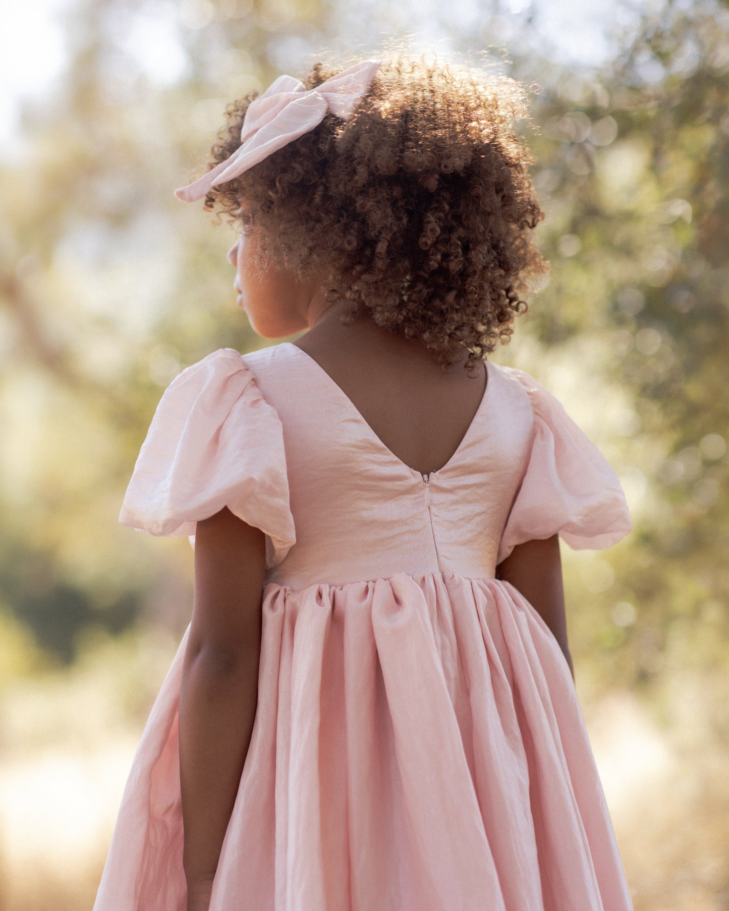 Noralee Sofia Dress - Rose Shimmer