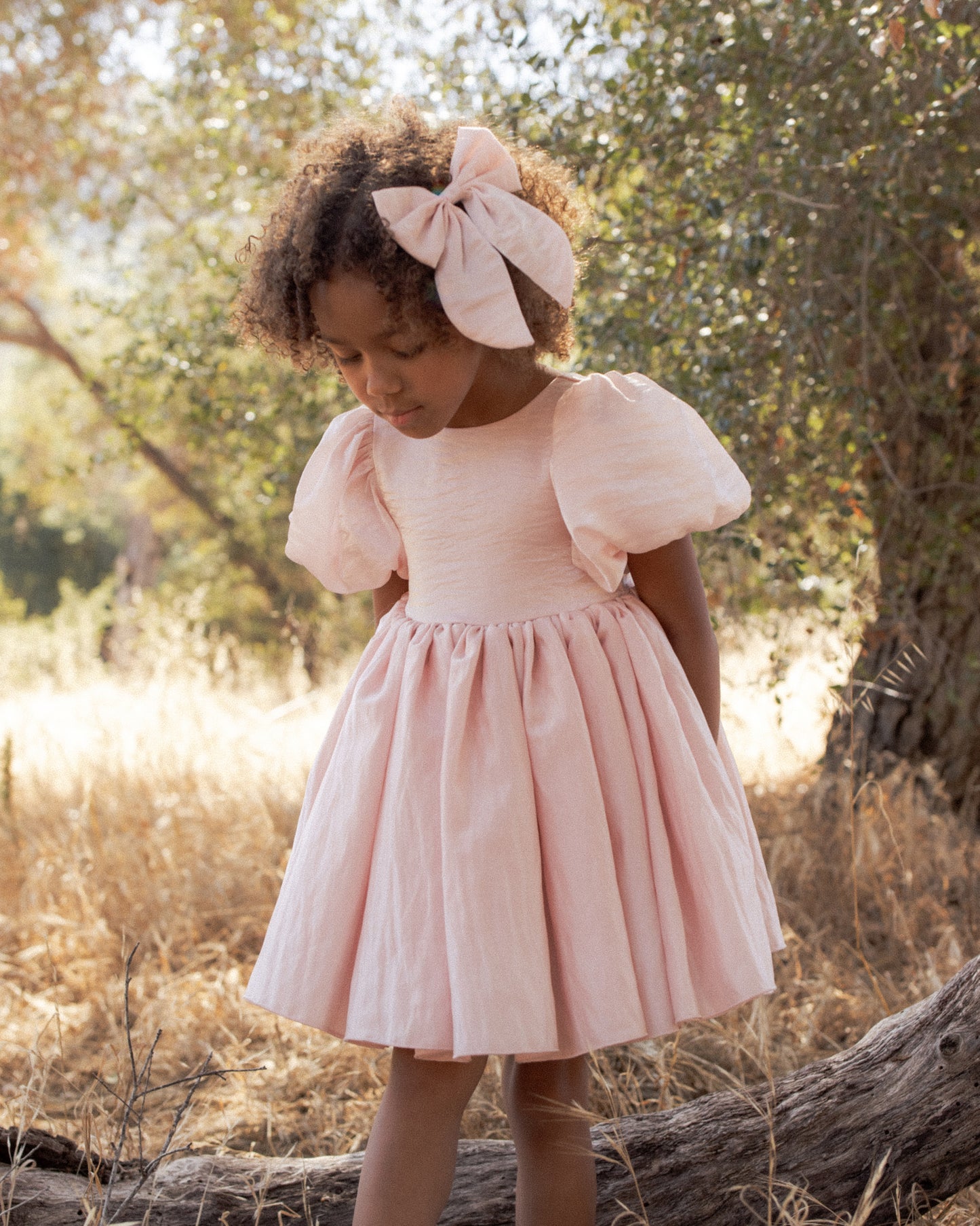 Noralee Everly Bow - Rose Shimmer