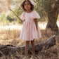 Noralee Sofia Dress - Rose Shimmer