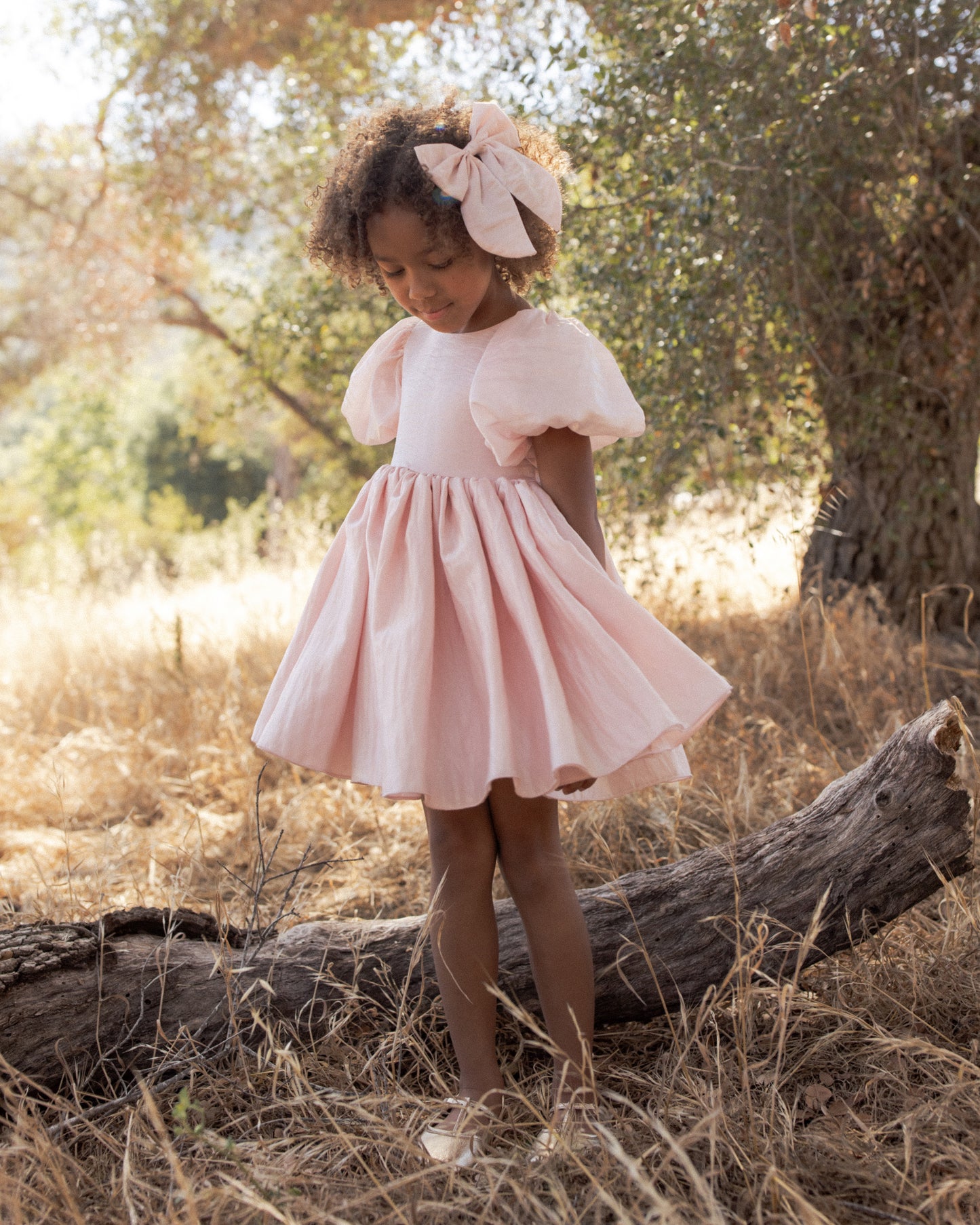 Noralee Sofia Dress - Rose Shimmer