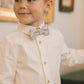 Noralee Bow Tie - Fall Plaid