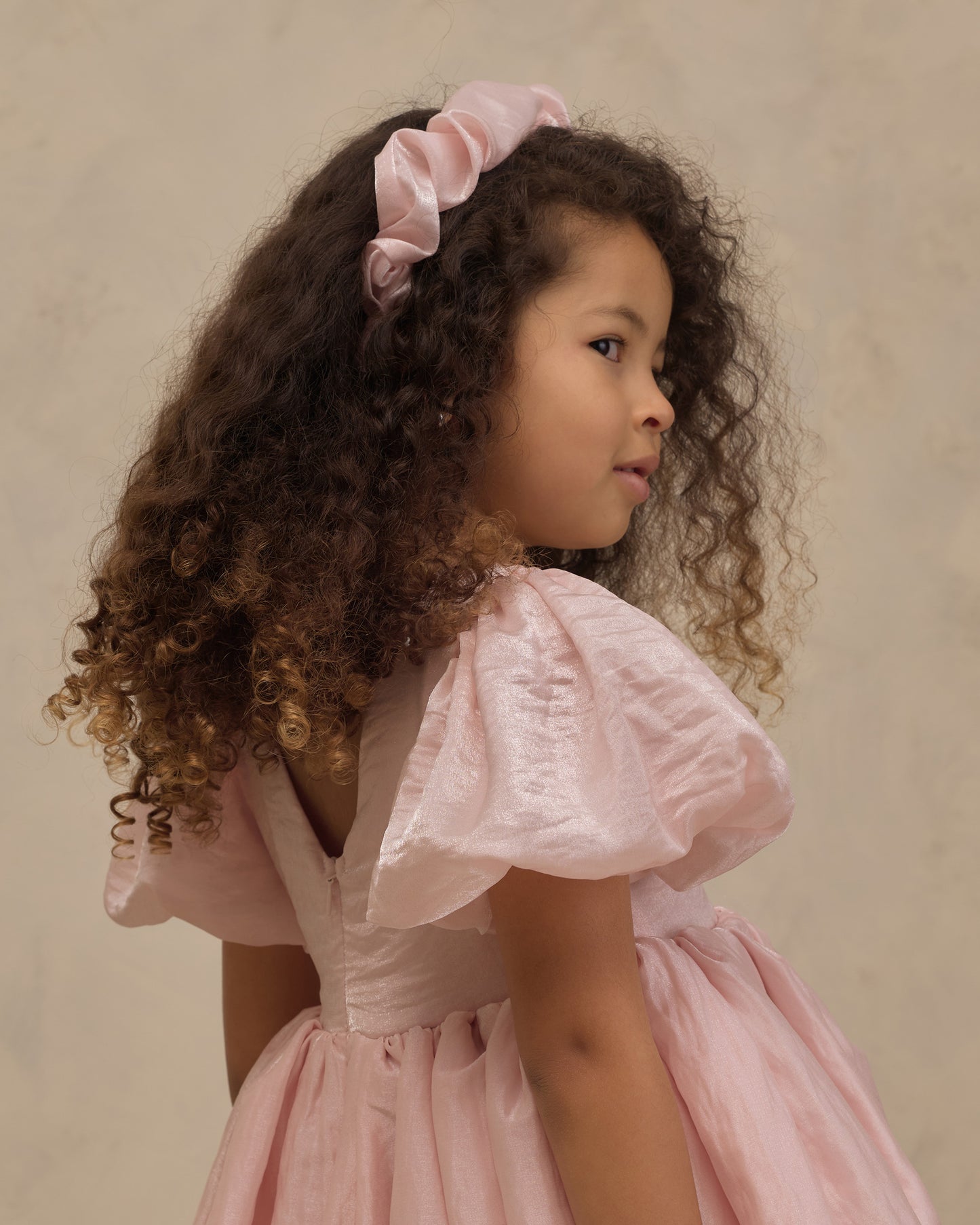 Noralee Sofia Dress - Rose Shimmer
