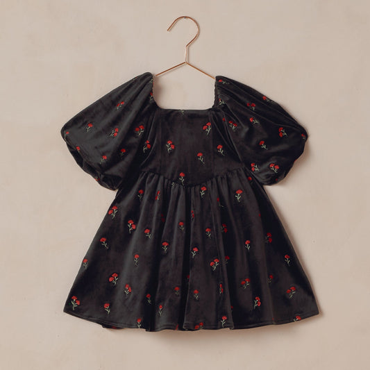 Noralee Nina Dress - Velvet Floral