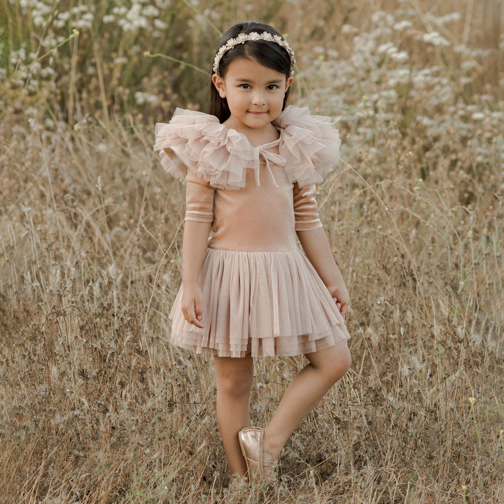 Little girl wearing Noralee Thea Tutu - Blush Velvet / Tulle