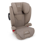 Nuna AACE Combination Booster Car Seat