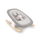 Nuna BRYN Newborn Rocker