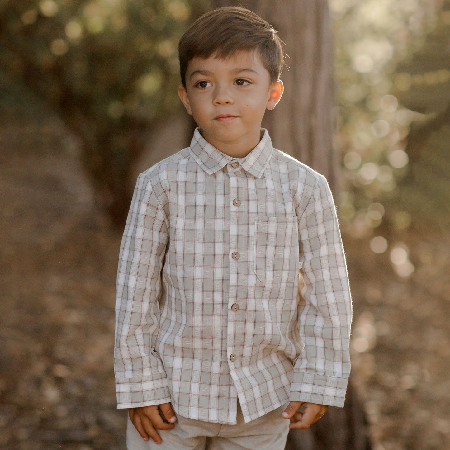 Boy wearing Rylee and Cru Collared Shirt - Pewter Plaid