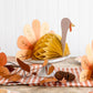 My Minds Eye Honeycomb Turkeys