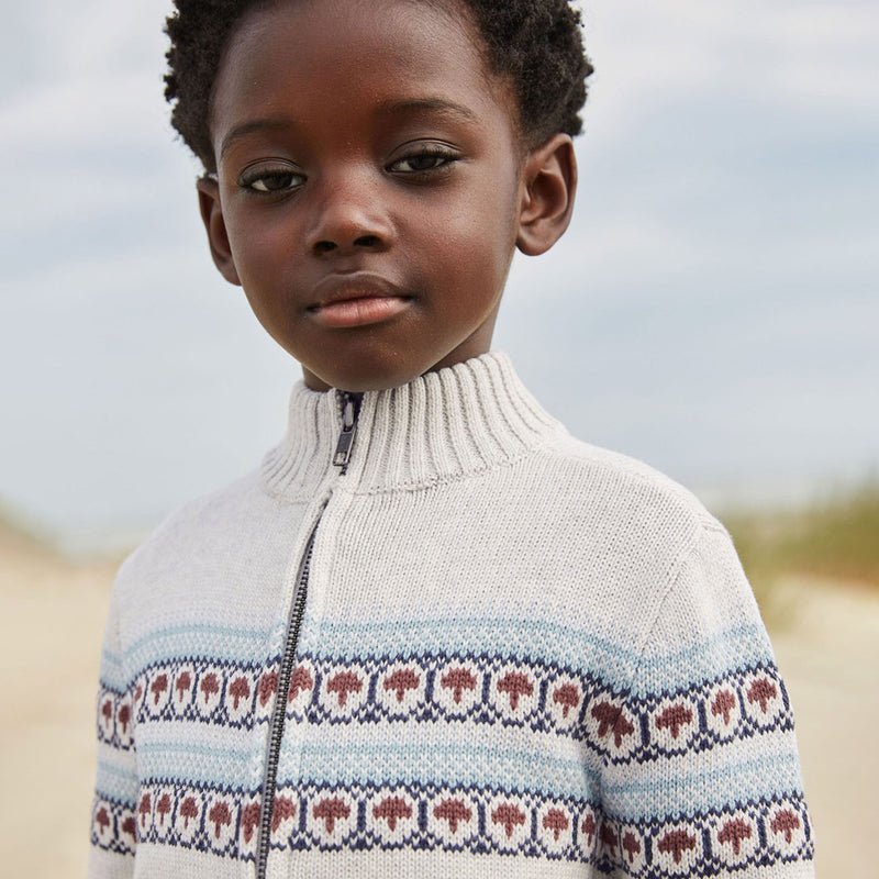Boy wearing Tea Collection Toasty Traveler Zip Sweater - Light Grey Heather