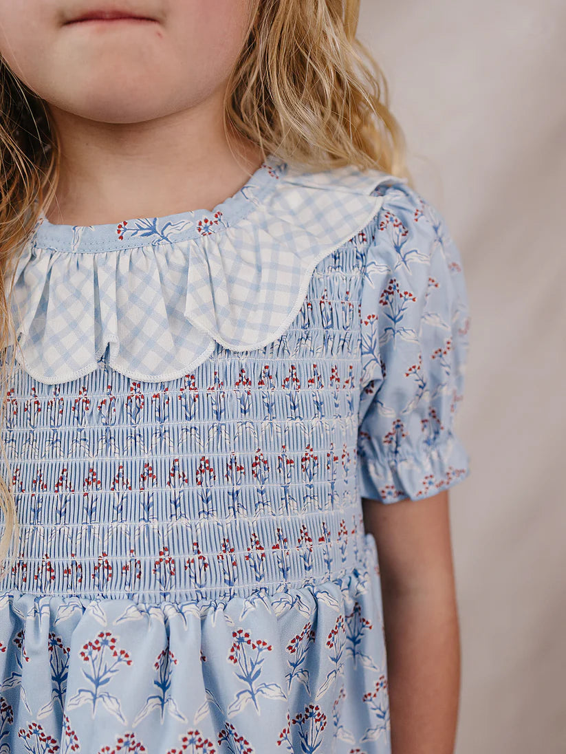 Mebie Baby Blue Meadow Dress