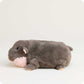 Warmies Baby Hippo Warmies