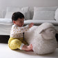Little Lamb Kind Baa Baa Sheep Pouf Ride-On Toy