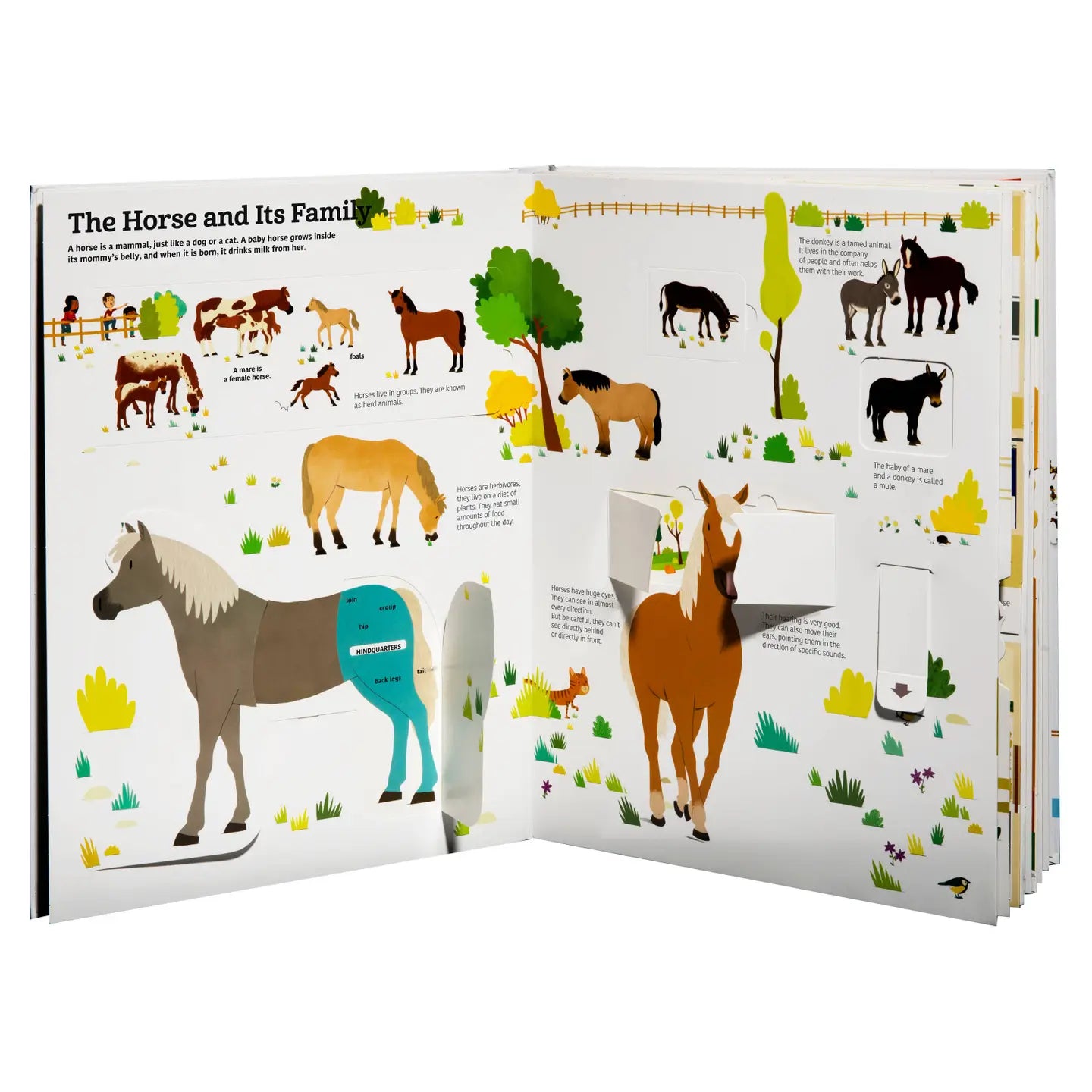 Chronicle Books The Ultimate Book of Horses