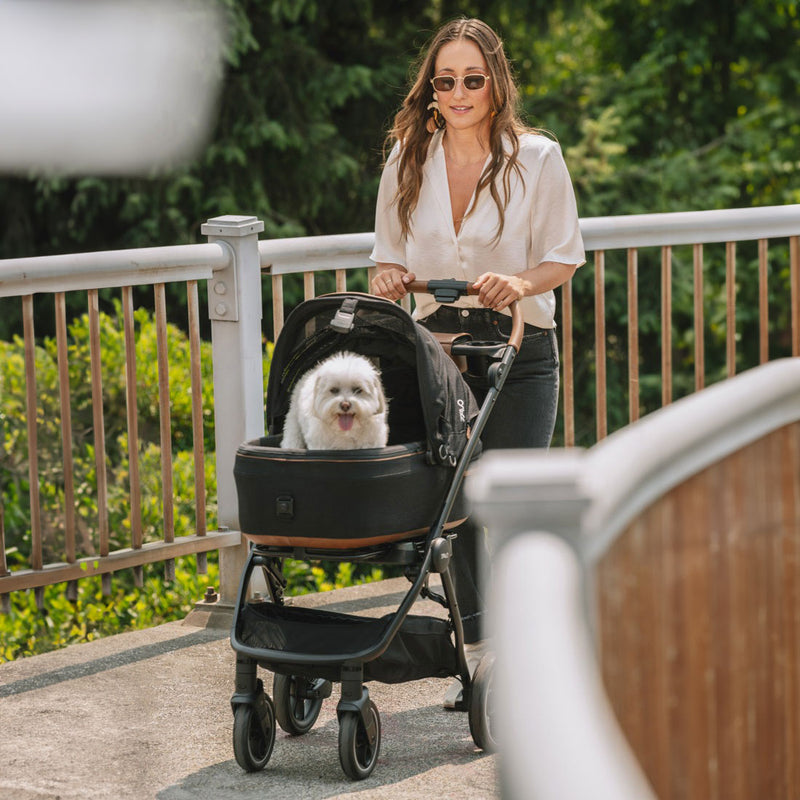 tavo pet car seat and stroller Tavo Pets Maeve Pet Car Seat - Medium Flex