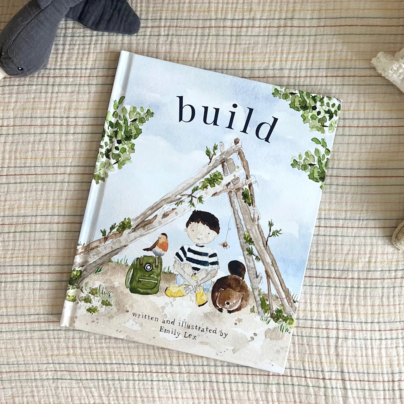 Emily Lex Studio Build Book