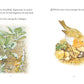 Penguin Random House LLC The Tale Of Peter Rabbit Book