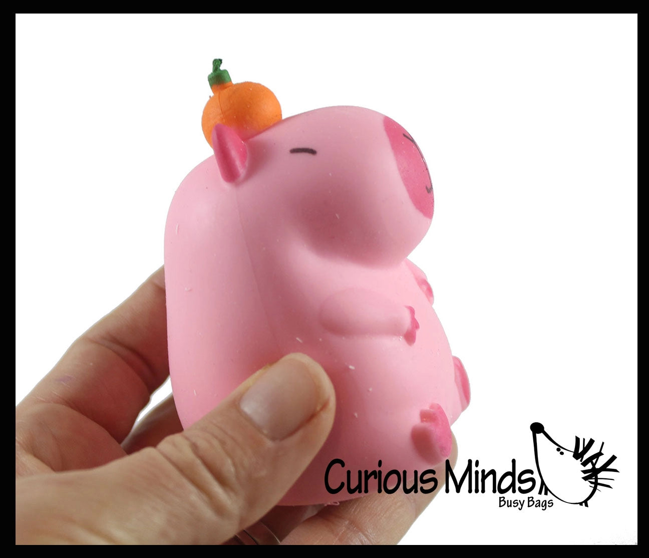 Curious Minds Toys Capybara Sensory Fidget Toy Assortment