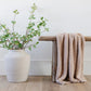 Saranoni Receiving Bamboni Blanket - Birch