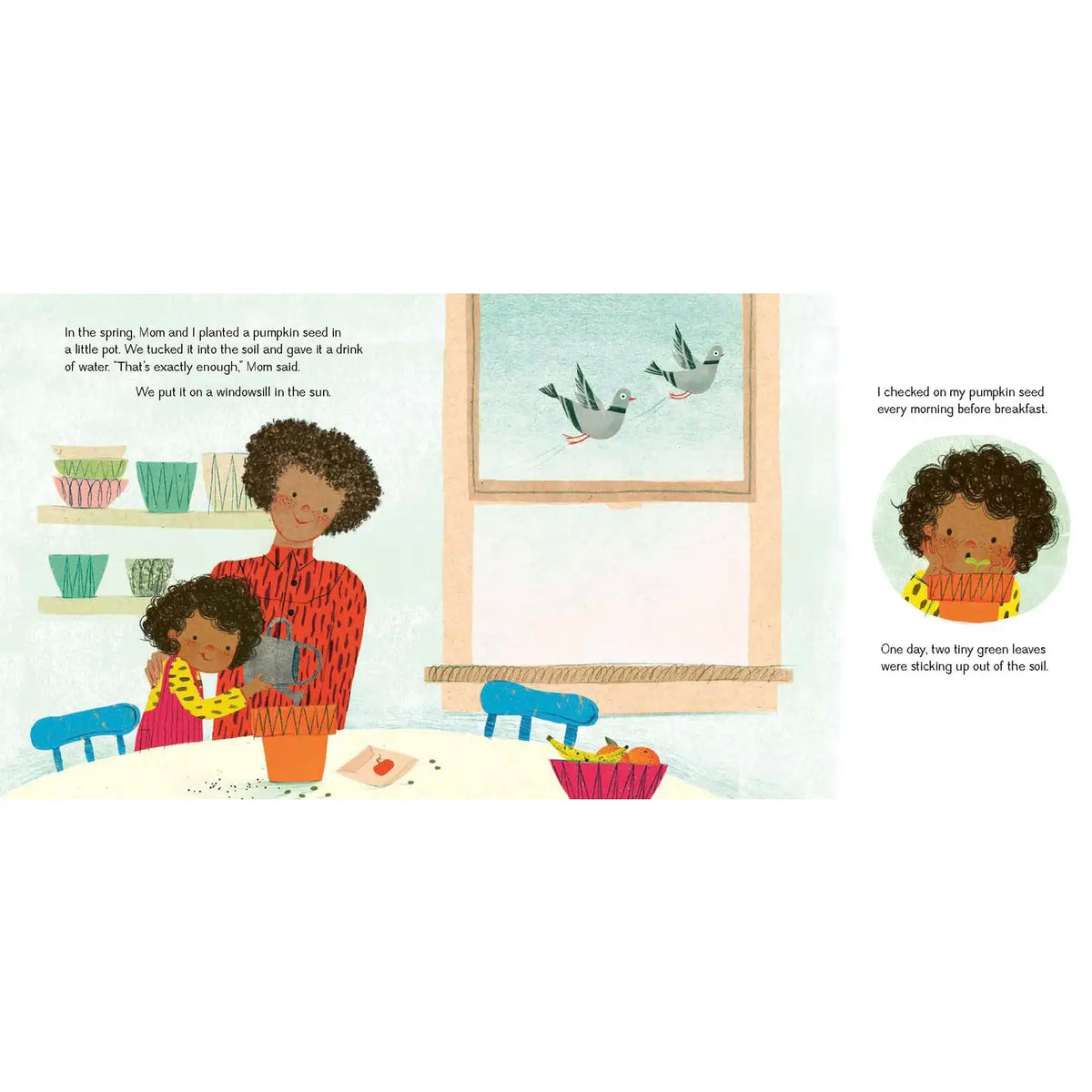 Hachette Book Group The Pumpkin Seed