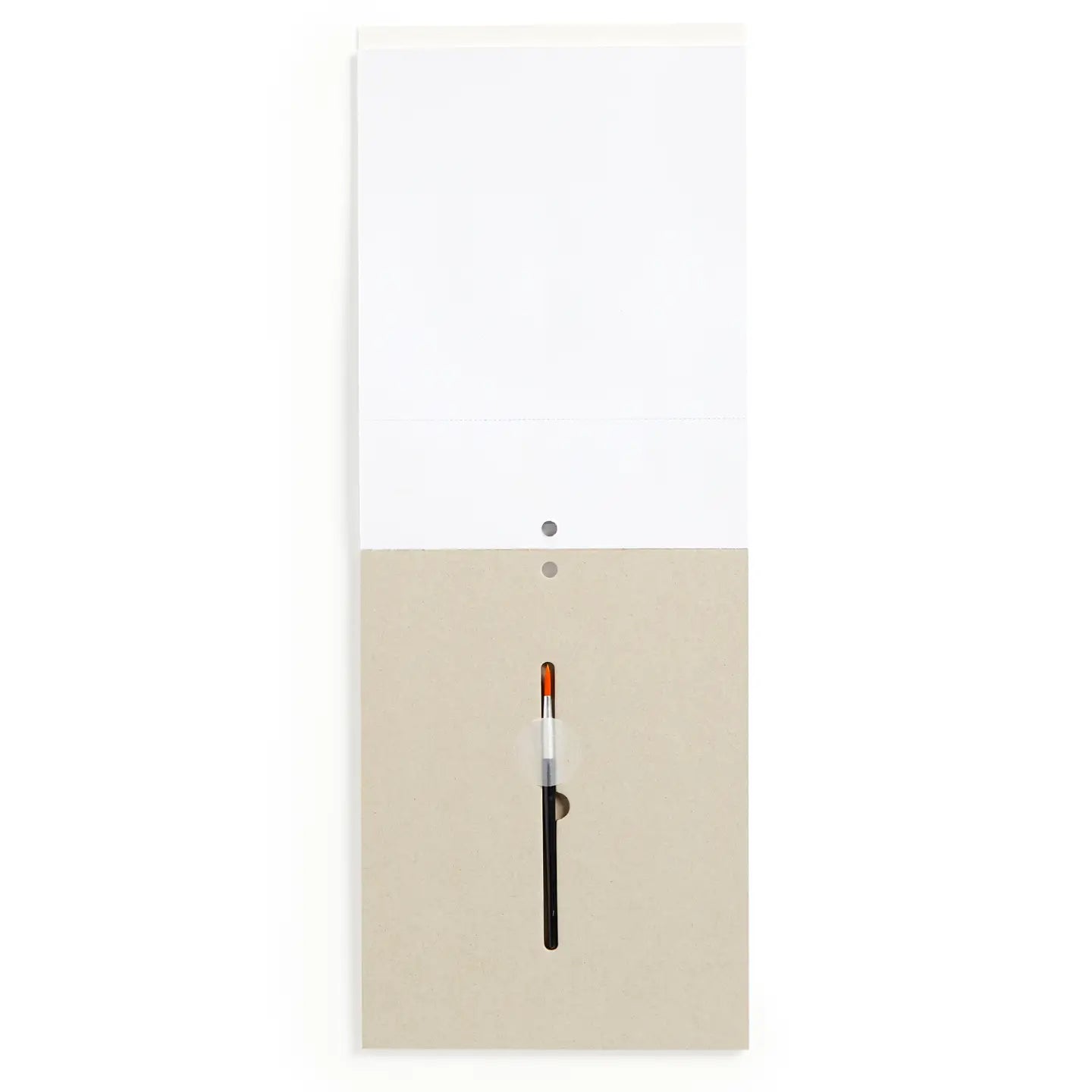 Chronicle Books Painting Kit