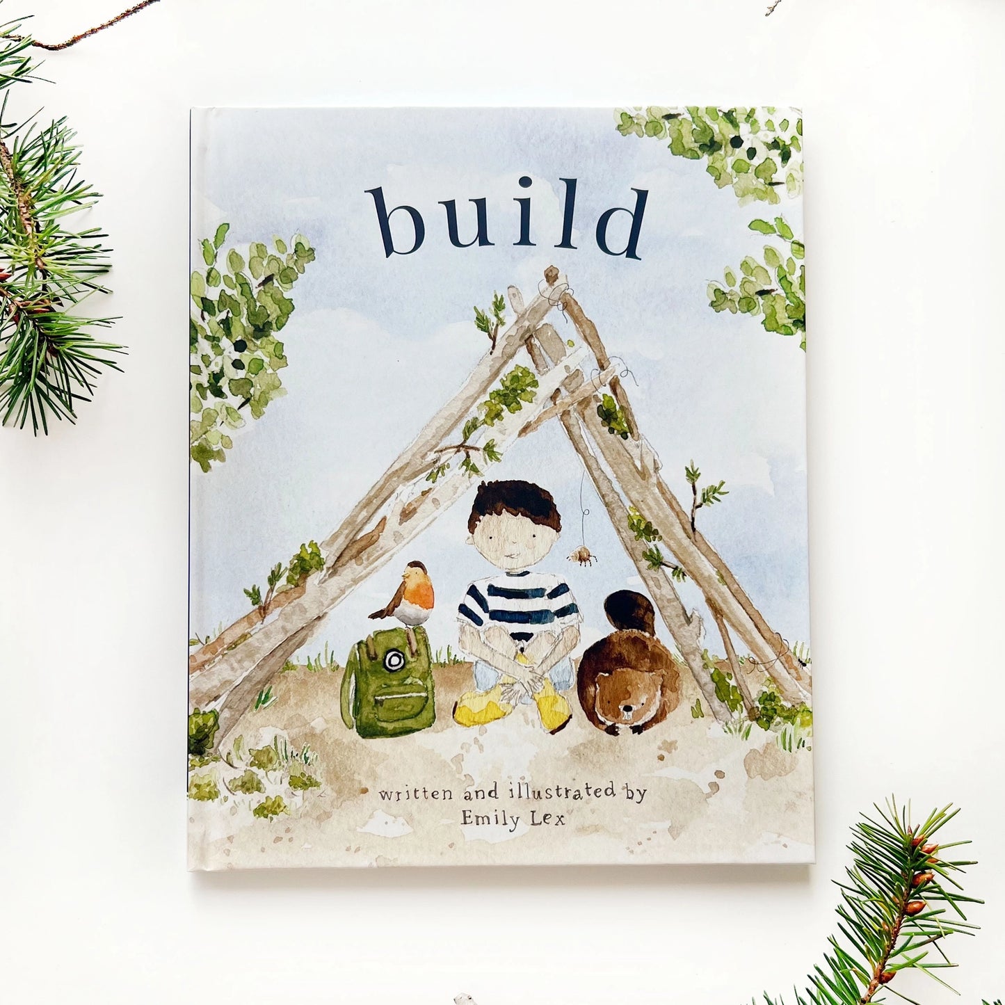 Emily Lex Studio Build Book