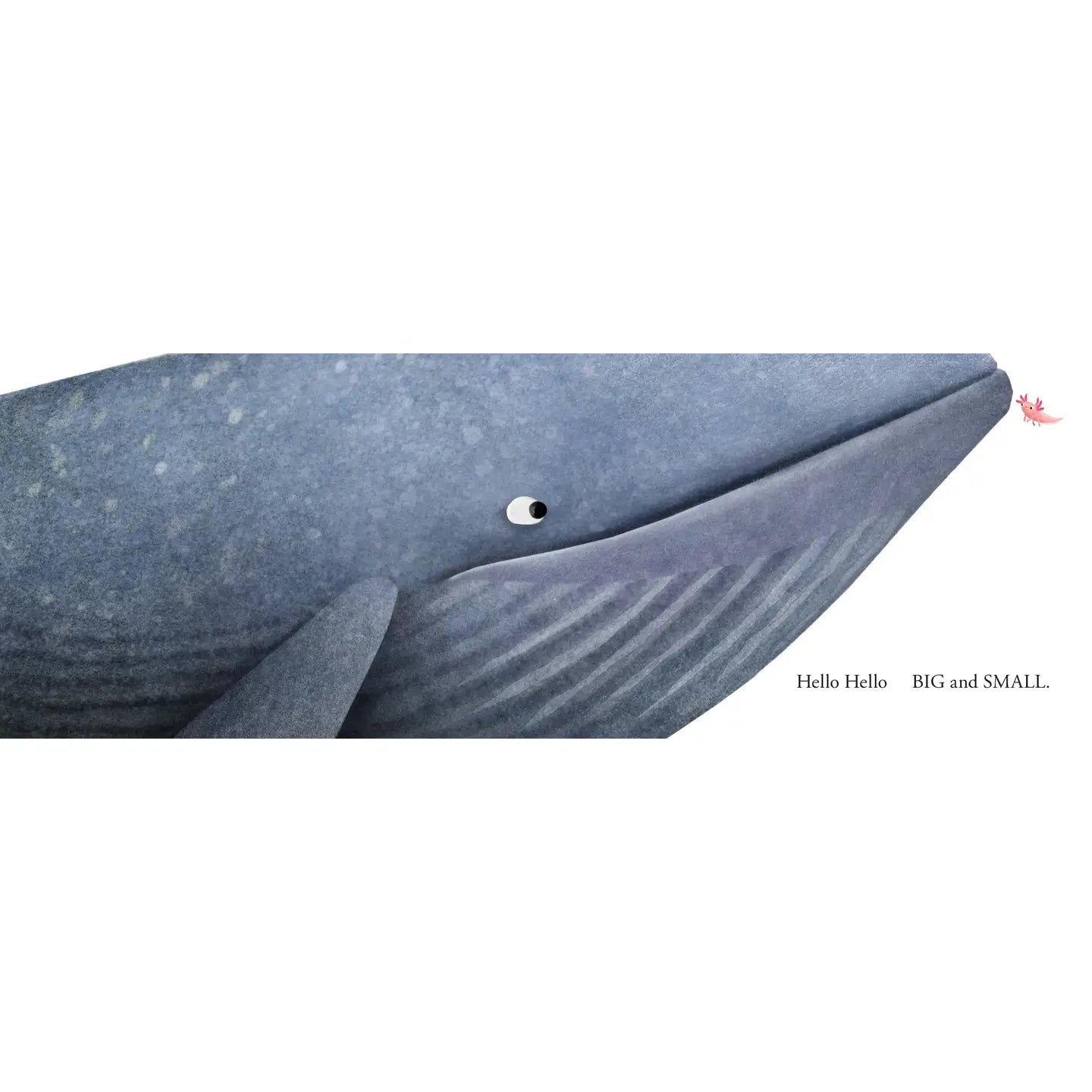 Chronicle Books Hello Hello Opposites Book