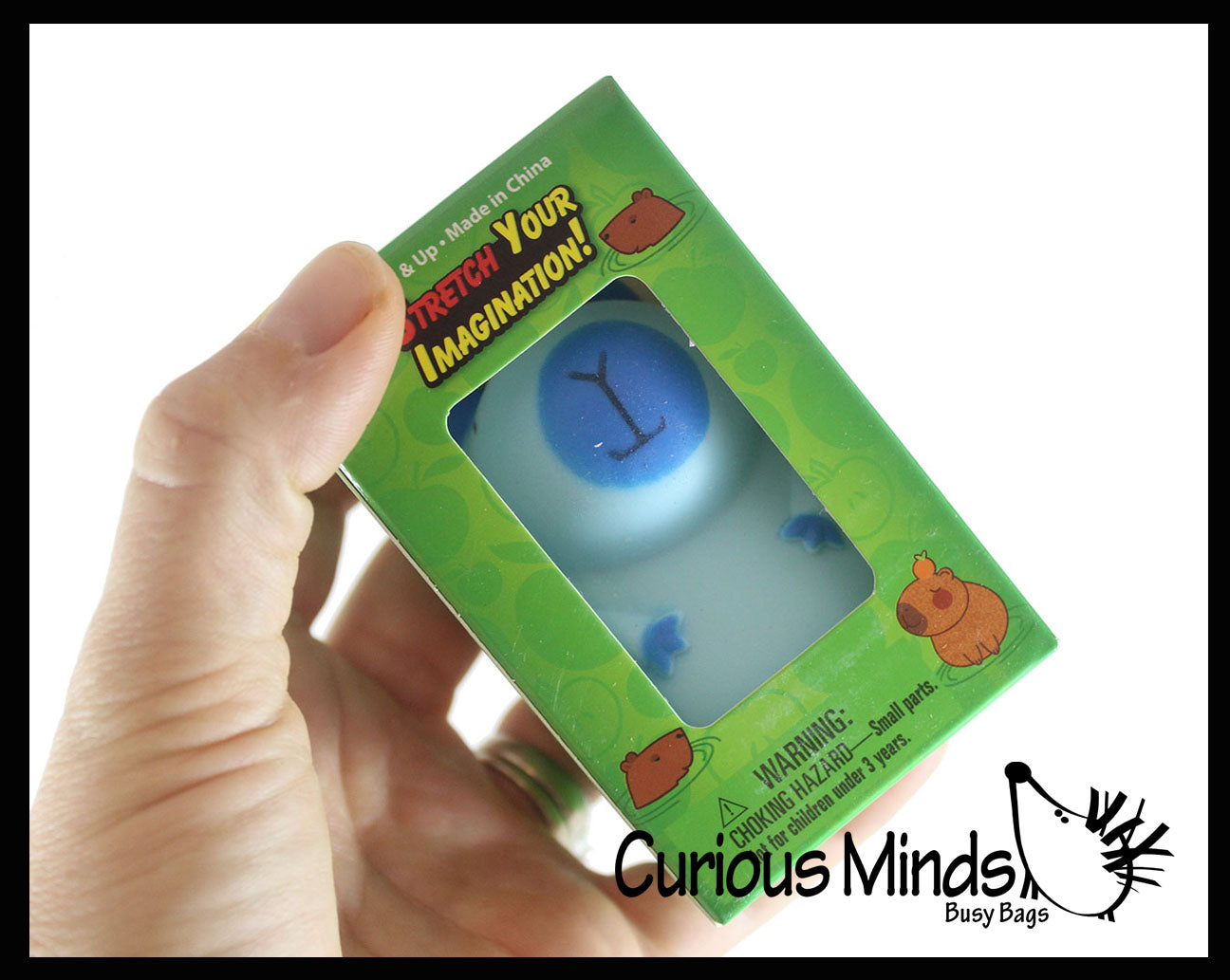 Curious Minds Toys Capybara Sensory Fidget Toy Assortment