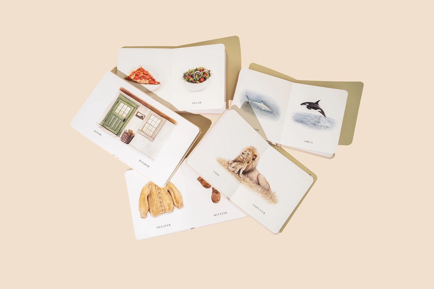 Penguin Random House Our Little Library Vol. 2 (5 Board Book Box Set)