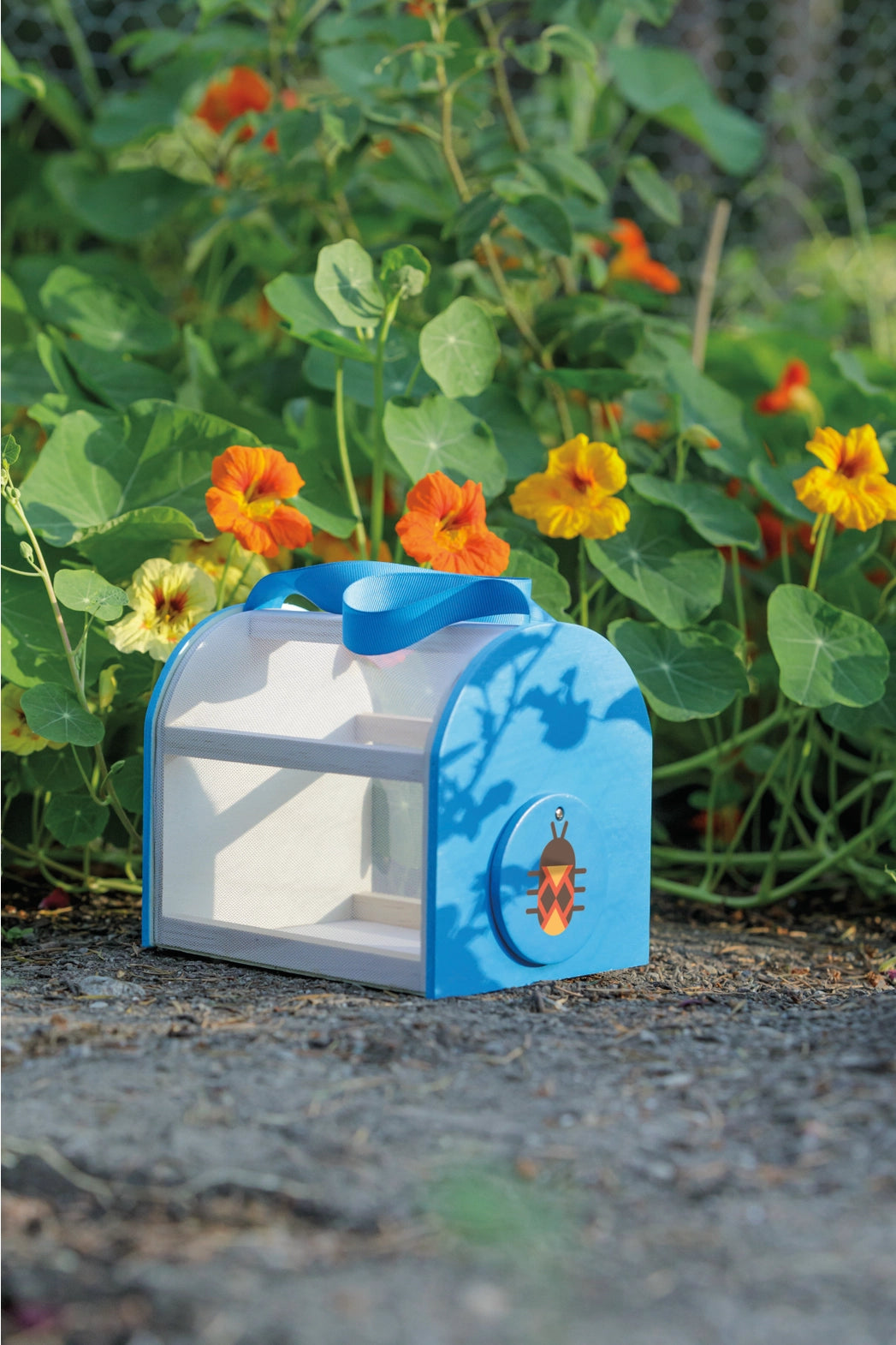 Toysmith Beetle & Bee Critter Case Certified Wood-Outdoor Play