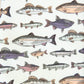 Boon Ties Fish On! - Youth Tie
