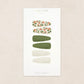 Lou Lou and Company Scallop Snap Pack