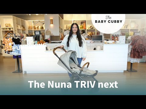 nuna triv next car seat and stroller Nuna TRIV Next Stroller and PIPA Urbn Car Seat Travel System