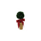 Creative Co-op Dried Boxwood Tree in Terra-Cotta Pot with Red Velvet Bow