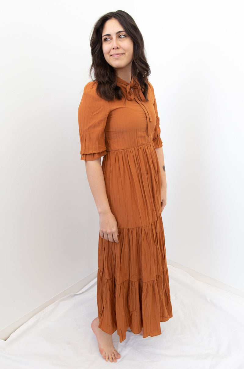 Polagram Maxi Dress with Mock Neck Self Tie Detail - Ginger