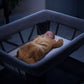 Baby sleeping in Maxi-Cosi Swift Play Yard - Essential Graphite at night