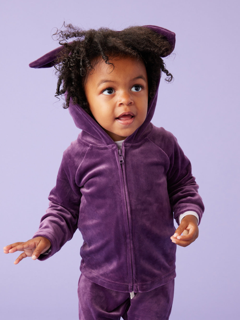 Tea Collection Bunny Ears Velour Baby Hoodie - Purple Punch