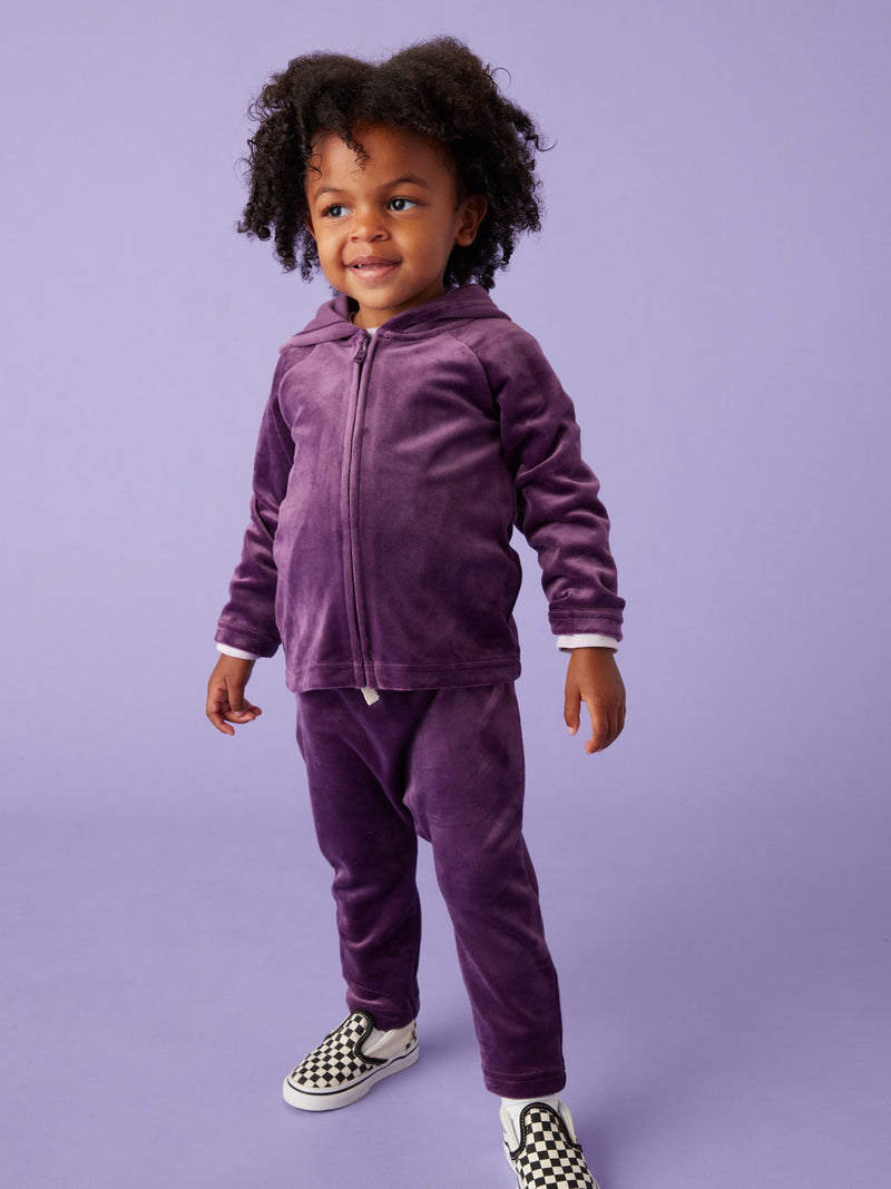 Tea Collection Very Velour Baby Joggers - Purple Punch
