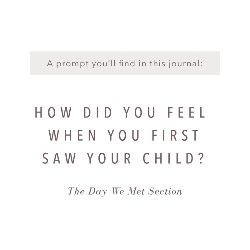 Promptly Journals Adoption History Journal - Adoption to 18 Years - Sand
