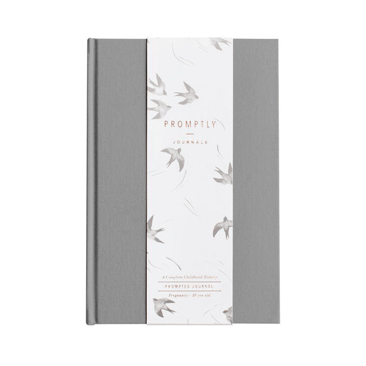 Promptly Journals Childhood History Journal - Womb to 18 Years - Grey
