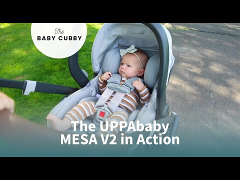 The UPPAbaby MESA V2 in Action
